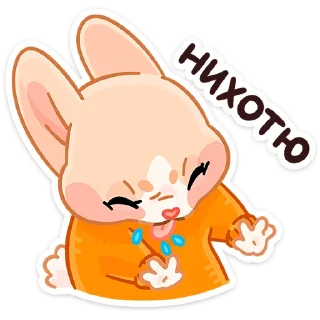 ✋