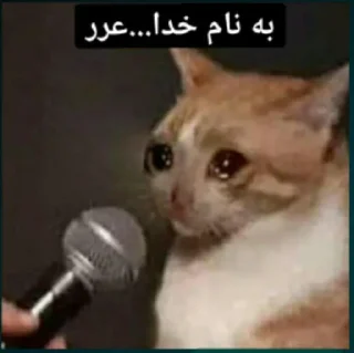 🥲