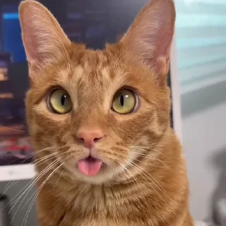 😛