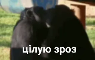 😘