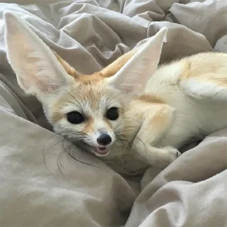 😊