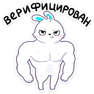 🐰