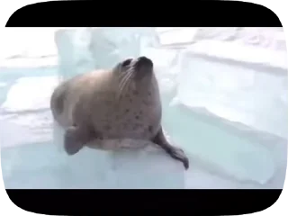 😋