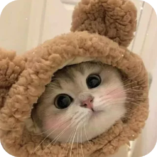 ❤