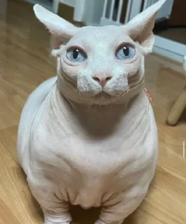 😳
