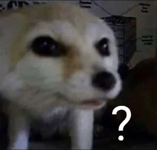 ❓