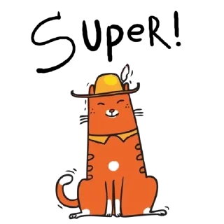 😻