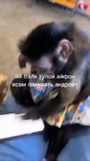 🤬
