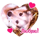 💕