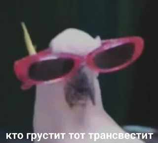 😎