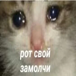 🤐