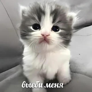 🥰