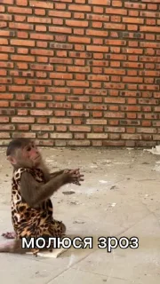 🙏