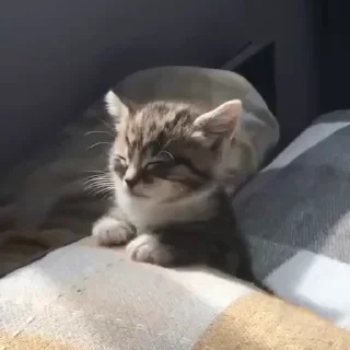 😌