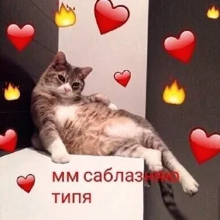 ❤️‍🔥