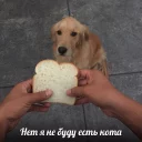 😁