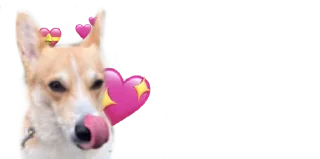 😍