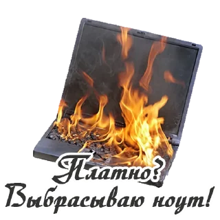 💻