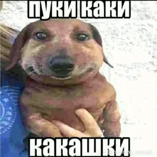 😍