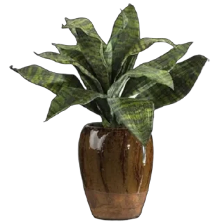 🌱