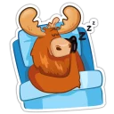 😴