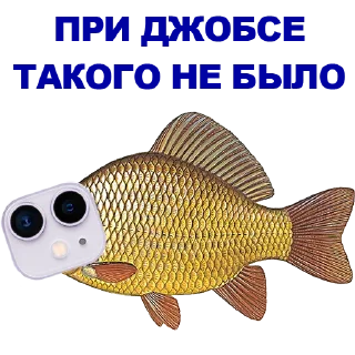 🐠