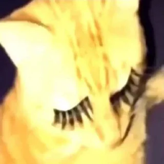 💅