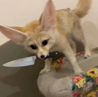 🔪