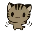 🐱