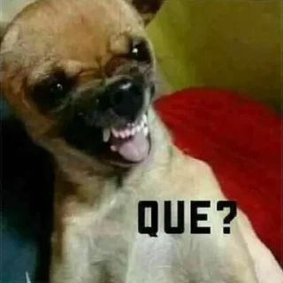 😨