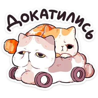 🐱