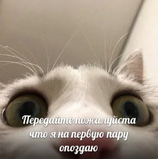 ⚠️