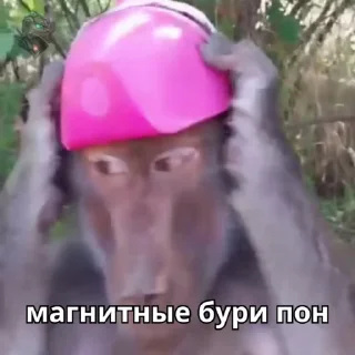💫