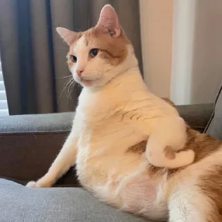 🤔