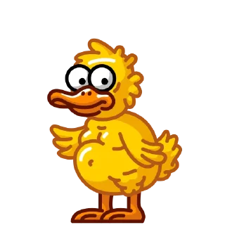 🐥