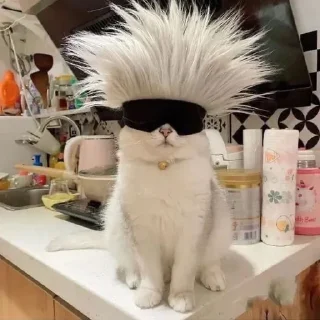 😎
