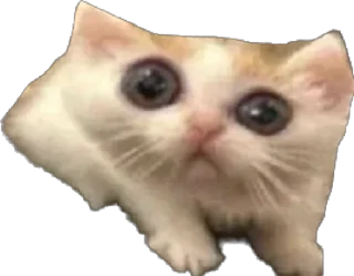😨