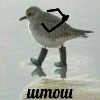 😑