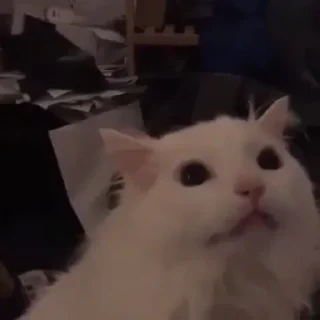 😕