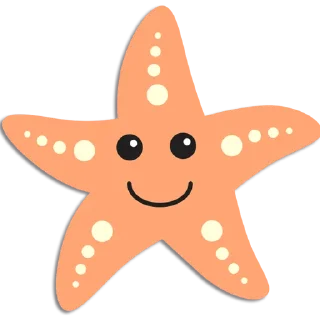 ⭐️