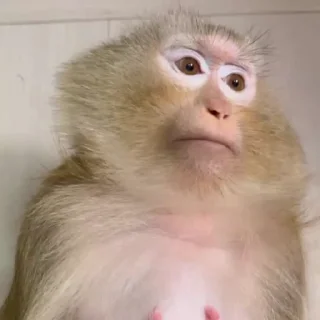 😐