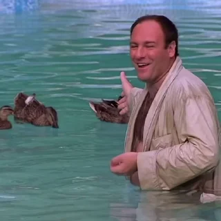 🦆