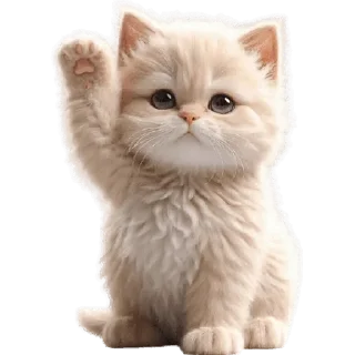👋