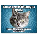 🐱