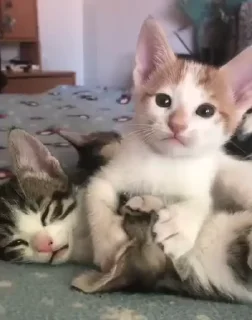 ❤️