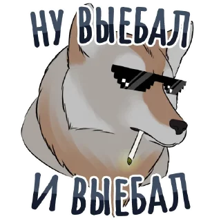 😎