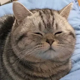 🥱