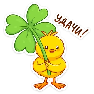 🍀