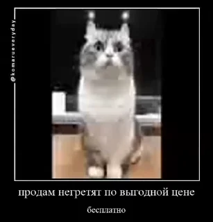 😳
