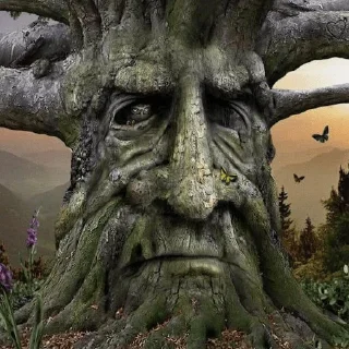 🌳
